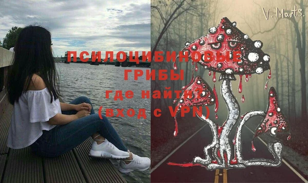 тгк Абинск