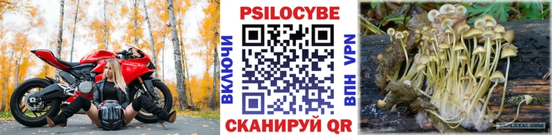 Галлюциногенные грибы мицелий  купить   Вышний Волочёк 